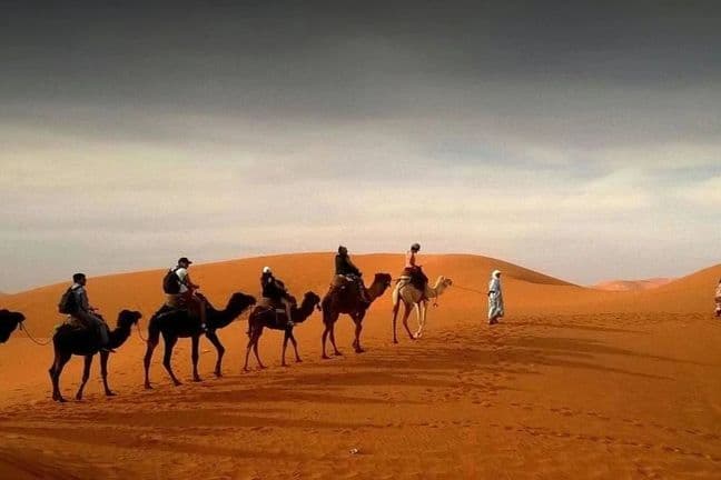 Camel caravan with tourists riding across red sand dunes during Dubai desert safari