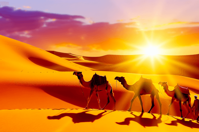 Things to Do in Dubai with Kids: Family Activities by Age (2026)